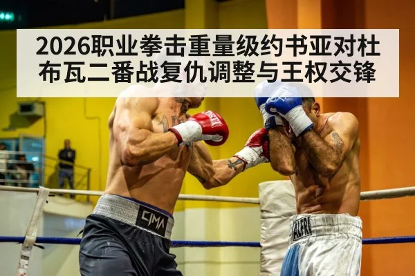2026职业拳击重量级约书亚对杜布瓦二番战复仇调整与王权交锋
