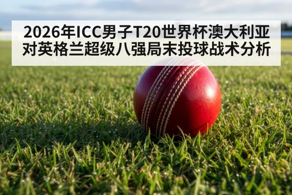 cricket pitch field close up